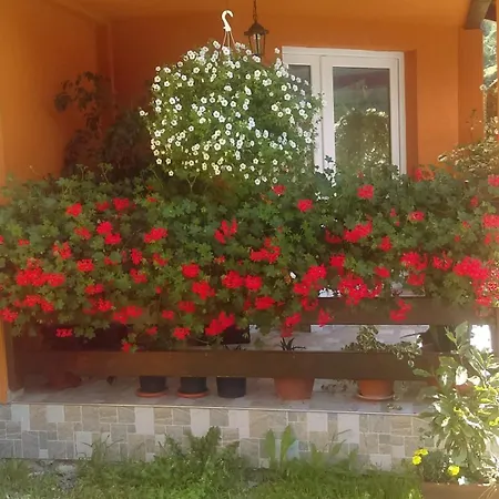 Lodge Ge-lux Incesti